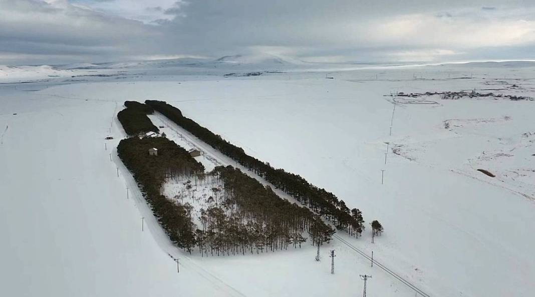 Karlar kraliçesinin saklı bahçesi gibi! Bozkırda yükselen yeşil cennet 6